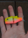 Raptor glide bait