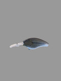 Baby bass crankbait